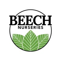 Beech Nurseries